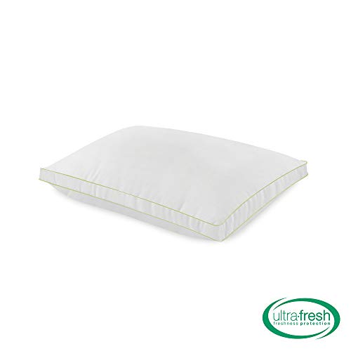 BioPEDIC 2 Pack UltraFresh Luxury Gusseted Pillow with Nanotex Coolest