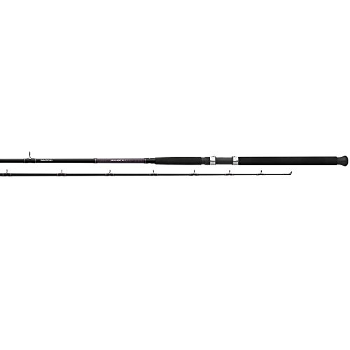 Daiwa Dipsy Heavy Action Accudepth Trolling Rod (2 Piece), 10' 6