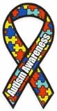 Made in USA Autism Awareness Magnet 4 X 8 Inches