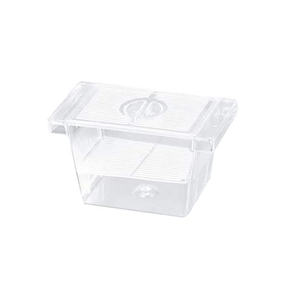 AquaBreed Fish Breeding Box - Transparent Hatchery With Suction Cups, Ideal For Aquarium Tank Fish Protection