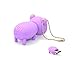 8GB Pen Drive - Novelty USB 2.0 Flash Drive - Cute Purple Animal Pig Thumb Drive Pendrive Birthday Gift by FEBNISCTE
