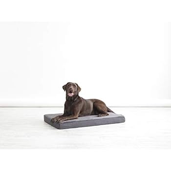 BarkBox Memory Foam Dog Bed | Plush Orthopedic Joint Relief Mattress Machine Washable + Removable Cover; Waterproof Lining, Includes Squeaker Toy | Large | Grey