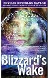 Front cover for the book Blizzard's Wake by Phyllis Reynolds Naylor