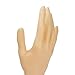 Pomeat Female Mannequin Hand Jewelry Display Bracelet Necklace Ring Glove Stand Holder