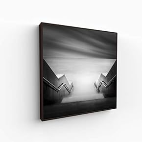Canvas Wall Art for Living Room, Bedroom Silence Framed Canvas Prints for Home Decoration Ready to Hang - 16x16 inches