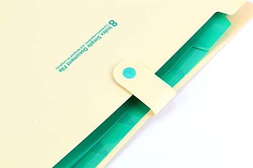 Bekith Document File Folder Poly Expanding A4 and Letter Size File Organizer, 8 Pockets, 4 Pack