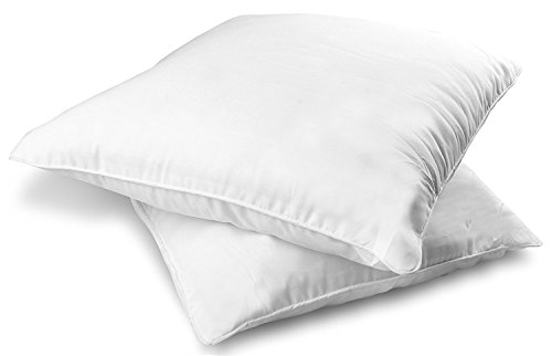 Decorative Pillow Insert (2 Pack, White) - Square 18x18 Sofa and Bed Pillow - Poly Cotton Cover - Indoor White Pillows by Utopia Bedding