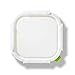 BLACK & BLUM Lunch Box Large Square, 1 EA