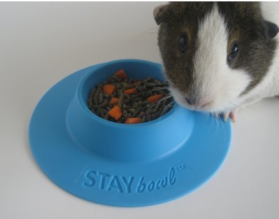 cuenco ergonómico para mascotas a prueba de puntas staybowl para conejillos de indias y otras mascotas pequeñas; tamaño de 1/4 taza; cielo azul