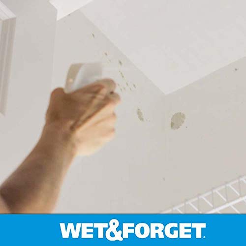 Wet & Indoor Disinfectant Cleaner EPA Reg. No. 683615285342