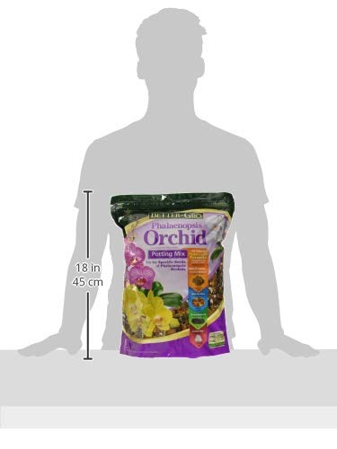 Better-Gro Phalaenopsis Mix - Image 3