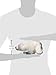 Webkinz Arctic Polar Bear Plush