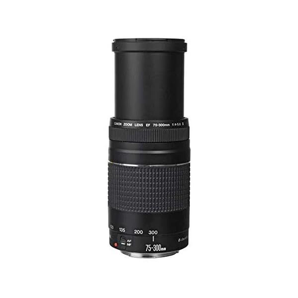 Leichter Telezoom mit USM, EF 75-300 mm f/4-5.6 III Objektiv. – Bild 6