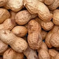 Monkey Nuts In Shells Large Bag - Johnston & Jeff 12.5Kg (Tp)(Shell)