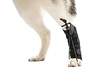 Walkin' Rear No-Knuckling Training Sock Helps Dogs Pick up Their feet When knuckling Under or dragging Their Rear Paws