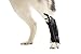 Walkin' Rear No-Knuckling Training Sock Helps Dogs Pick up Their feet When knuckling Under or dragging Their Rear Paws