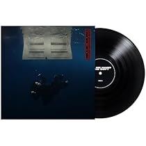 HIT ME HARD AND SOFT [Recycled Black LP] | Amazon.com.br