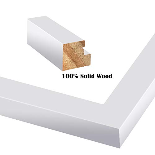 Egofine 16x20 Solid Wood Poster Frame Matted for 11x14 and 12x16 White