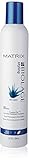 Matrix Biolage Freeze Fix Hairspray, 10 Ounce