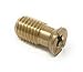 Wood Grip | 10 Pack MB1 Pool Cover Brass Anchor Head Screw Bolt for Concrete and Pavers | Loop Lock Pool Cover Parts | Pool Cover Replacement Parts | Loop Loc Spring Covers (10 Pack), Drywall Anchors