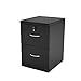 Z-Line Designs 2-Drawer Vertical File Cabinet, Black