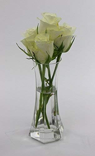 Bormioli Rocco Set of 3 Capitol Flower Vase, Clear, 3 Vases - Image 4