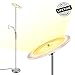 LED Floor Lamp - Modern Standing Lamp, 18W+5W Energy Saving, Dimmable & Adjustable, Metal Material, 3000K Warm White - Sky Torchiere Floor Lamps for Living Room, Bedroom, Office, Reading