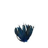 Zucker Feather Products BCCCL8-10--DKT Chinchilla Rooster Coque Tails