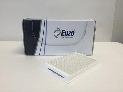900-094 - 96 Wells - COX-2 (Human), Elisa kit, Enzo Life Sciences - Each