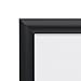 SnapeZo Black Document Notice Frame 11x17 Inch, 1