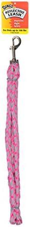 Petnation Reflective Leash, 5-Foot, Pink