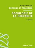 Sociologie de la précarité: Domaines et approches by