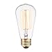 Globe Electric 31321 Vintage Designer Light Bulb, 3 Count (Pack of 1), Cool White
