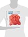 Darice RC-7209-35 Decorative Satin Rose Petals, Coral, 100-Pack