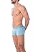 Obviously Downtown Collection - AnatoMAX Hipster Trunk - Flint Blue - Large