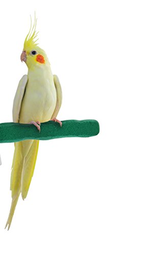 Sweet Feet and Beak Comfort Grip Safety Perch for Birds by Patented Perch Keeps Nails and Beak in Top Condition - Safe and Non-Toxic, For Cages – Small/Green - Thumbnail 5