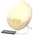 Wake Up Light, Cshidworld Sunrise Alarm Clock 7 Colored Sunrise Simulation & Sleep Aid Feature, Dual Digital LED Alarm Clock with FM Radio, 7 Natural Sound and Snooze for Kids Adults Bedrooms