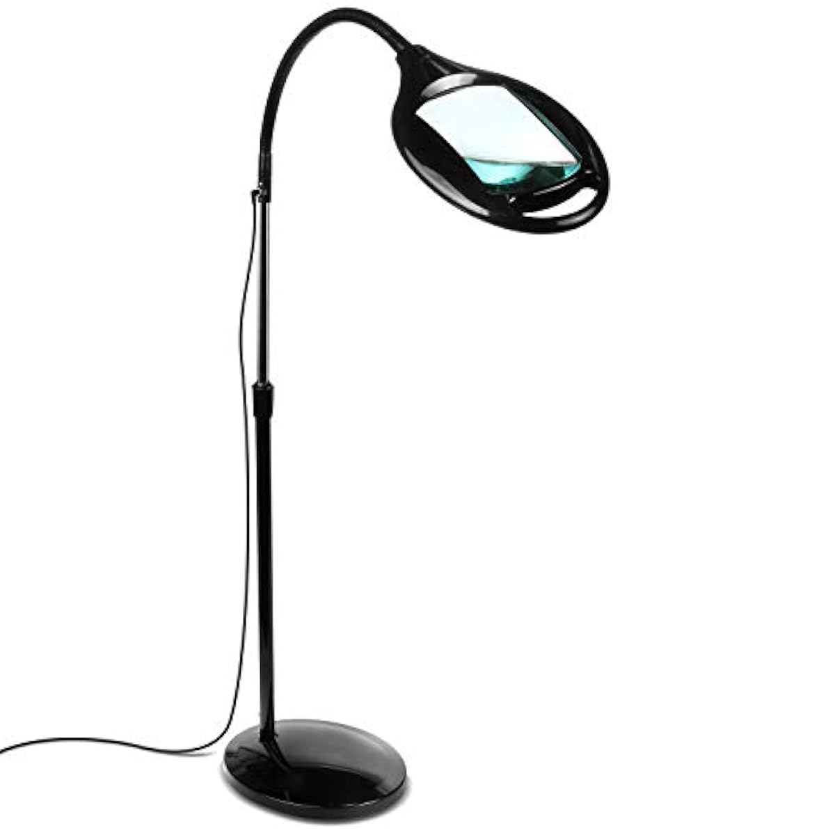 Brightech LightView Pro LED Magnifying Glass Floor Lamp Magnifier With Bright eBay