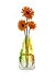 MODGY Expandable Flower Vase Plastic Decorative Modern Vases for Flowers Centerpieces Dining Table Decor Living Room Bathroom Wedding Office, Boom Bloom Yellow