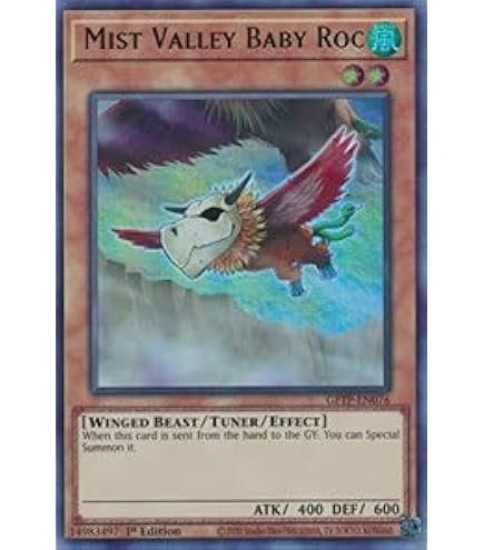 Amazon.com: Yu-Gi-Oh! - Mist Valley Shaman (HA01-EN005) - Hidden Arsenal -  1st Edition