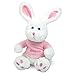 Lillian Vernon Personalized Easter Bunny with Pink T-Shirt Plush Toy - Stuffed Animal, Baby Toys, Holiday & Birthday Party Gifts, Custom Embroidered Name, 12 Inches Tall