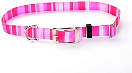 dog collar split rings