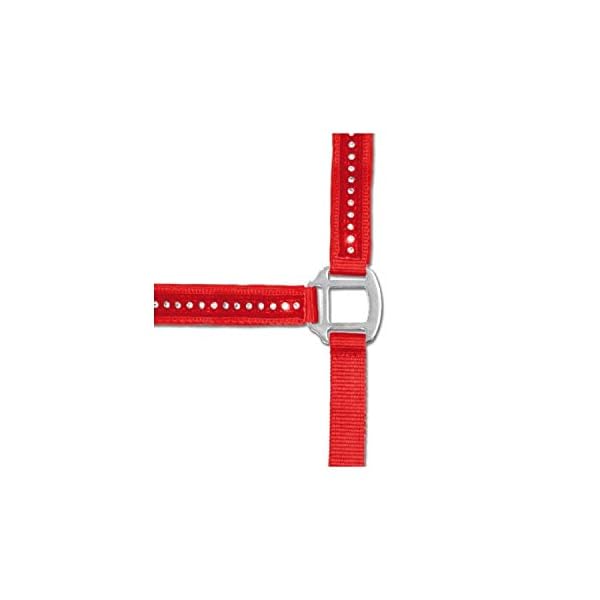 Waldhausen Capezza Modello Crystal Full, Blu Navy