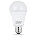 FEIT 9w LED Light Bulbs, 60w Equivalent, 800 Lumens Natural Day Light 5000K, 10 Pack