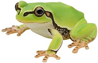 Amazon ネイチャーテクニカラー Nature Of Japan 日本のいきもの 02 ニホンアマガエル 通販