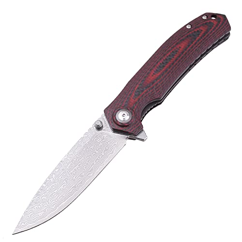 SHIELDON Damascus Pocket Knife, VG10 EDC Folding Knife, 4 inch Blade ...