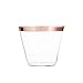 Perfect Settings 110 Clear Plastic Cups 9 Ounce- Holiday Wedding Party Elegant Rose Gold Trimmed Disposable Cups 110 Pack Fancy Wedding Cups