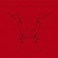 ��������Dreamer/ONE OK ROCK