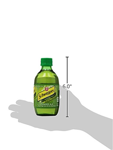 Schweppes Ginger Ale, 10 Fl Oz (Pack of 6)