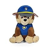 Paw Patrol 